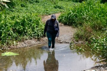 ONU advierte del trauma de los niños que cruzan la selva panameña del Darién