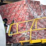 Avianca Cargo anuncia un récord histórico: transportó 20.100 toneladas de flores desde Ecuador y Colombia por el Día de la Madre