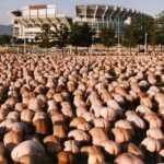 Tunick, el fotógrafo de los desnudos, busca voluntarios para retratarse en un olivar español