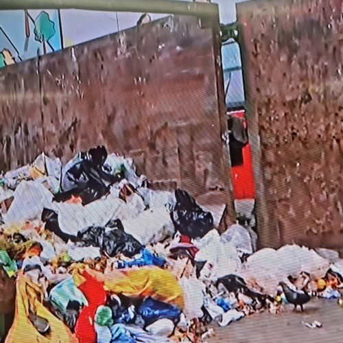 “La bebé ya estaba formadita”: conmoción en sur de Guayaquil tras hallazgo en basurero