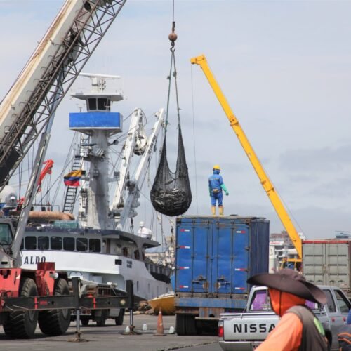 Ministro Palacios proyecta salida de la tarjeta amarilla de la UE para productos pesqueros en 2026