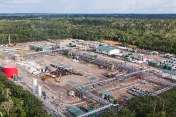 Consejo de Participación Ciudadana aprobó informes que reconocen persistencia de incumplimientos de la consulta popular por el Yasuní de 2023