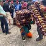 Cuándo se puede volver a comer cangrejo en Ecuador
