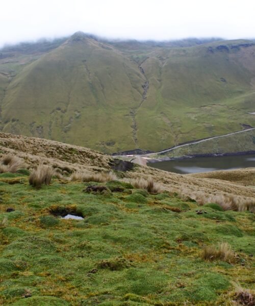 En 18 años, plan de manejo de páramos mantiene reto de reducir pobreza de comuneros : ‘Muchas familias prefieren migrar en busca de mejorar la situación económica’