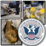 Detectan carne de cerdo no declarada en equipaje de viajero ecuatoriano en EE. UU.