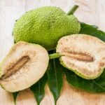Siembra de ‘breadfruit’, el árbol del futuro en las islas del Caribe
