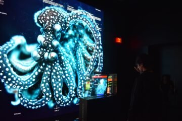 Así funciona Dataland, el primer museo de IA que crea arte con tus emociones