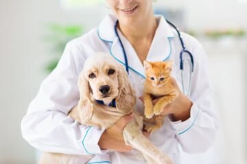 ‘Los primeros meses de vida son fundamentales para su futura salud’: conozca los cuidados que debe seguir con sus cachorros caninos y felinos