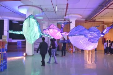Un viaje al agua sin salir de Guayaquil: así es el Museo Interactivo Océano Vivo en la Universidad de las Artes