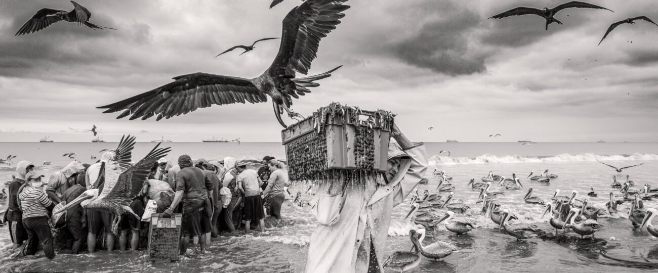 Última semana para integrar el equipo de Ecuador que competirá en la World Photographic Cup 2027