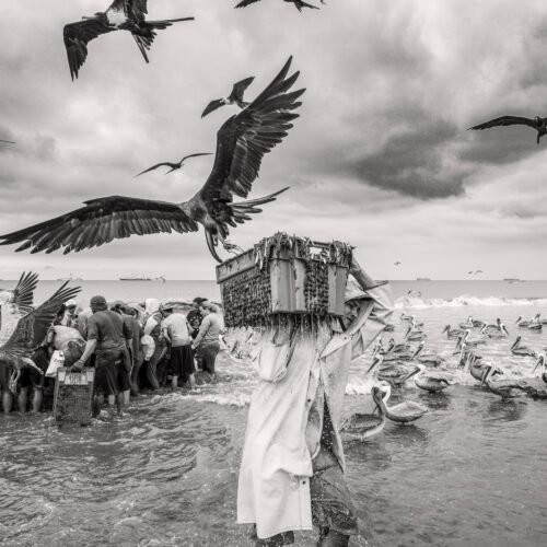 Última semana para integrar el equipo de Ecuador que competirá en la World Photographic Cup 2027