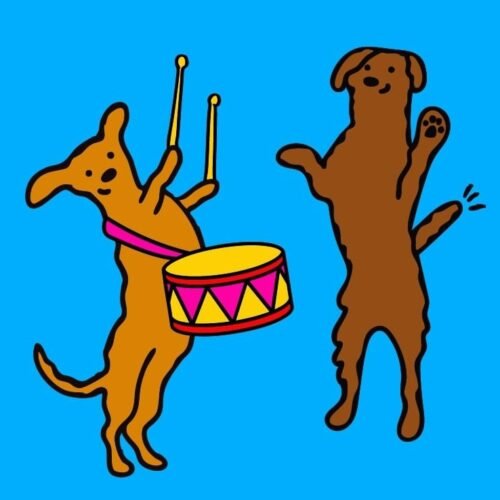 Un festival de cine sobre perritos en Argentina tiene como finalista al filme ecuatoriano ‘Un encuentro lluvioso en la calle Panamá’