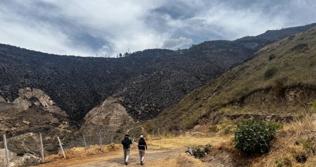 Instituto Metropolitano de Patrimonio de Quito estudia evidencia arqueológica hallada tras incendio forestal en Casitagua