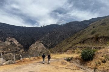 Instituto Metropolitano de Patrimonio de Quito estudia evidencia arqueológica hallada tras incendio forestal en Casitagua